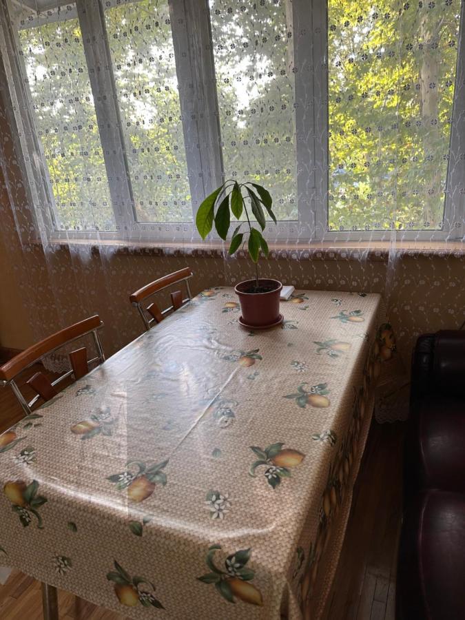 Апартаменты У Парка Голубые Купола И Цум Apartments At Blue Dome Park タシュケント エクステリア 写真